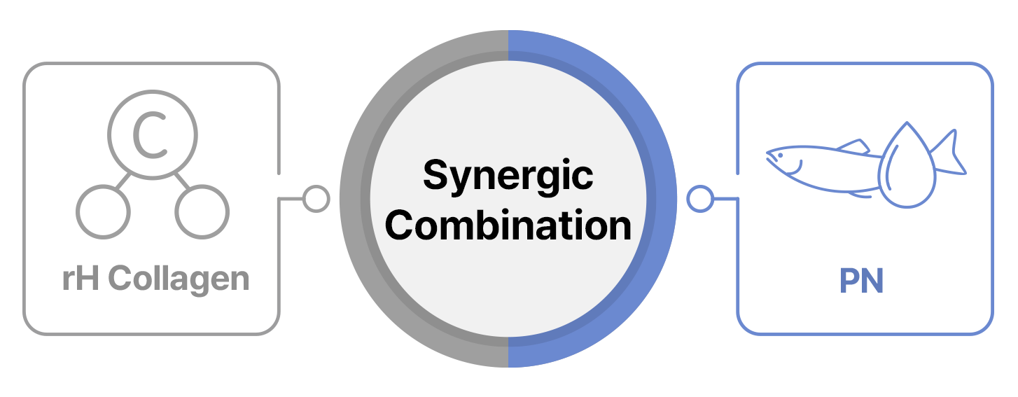 RH-Collagen_PN-Filler